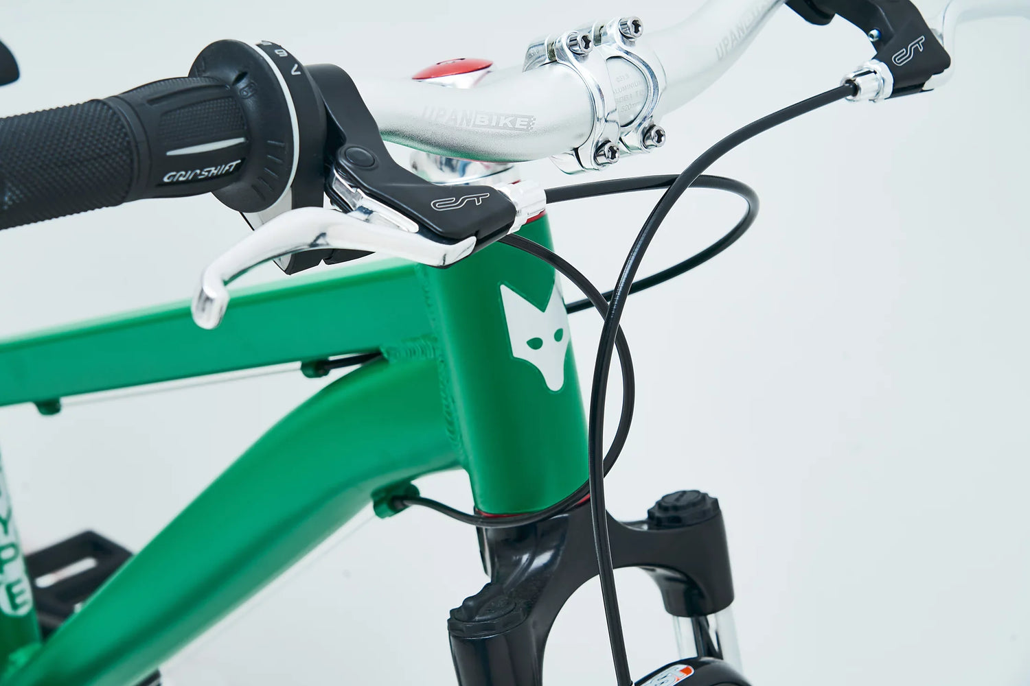 Grüner Rahmen eines TYPE Bike Fahrrads