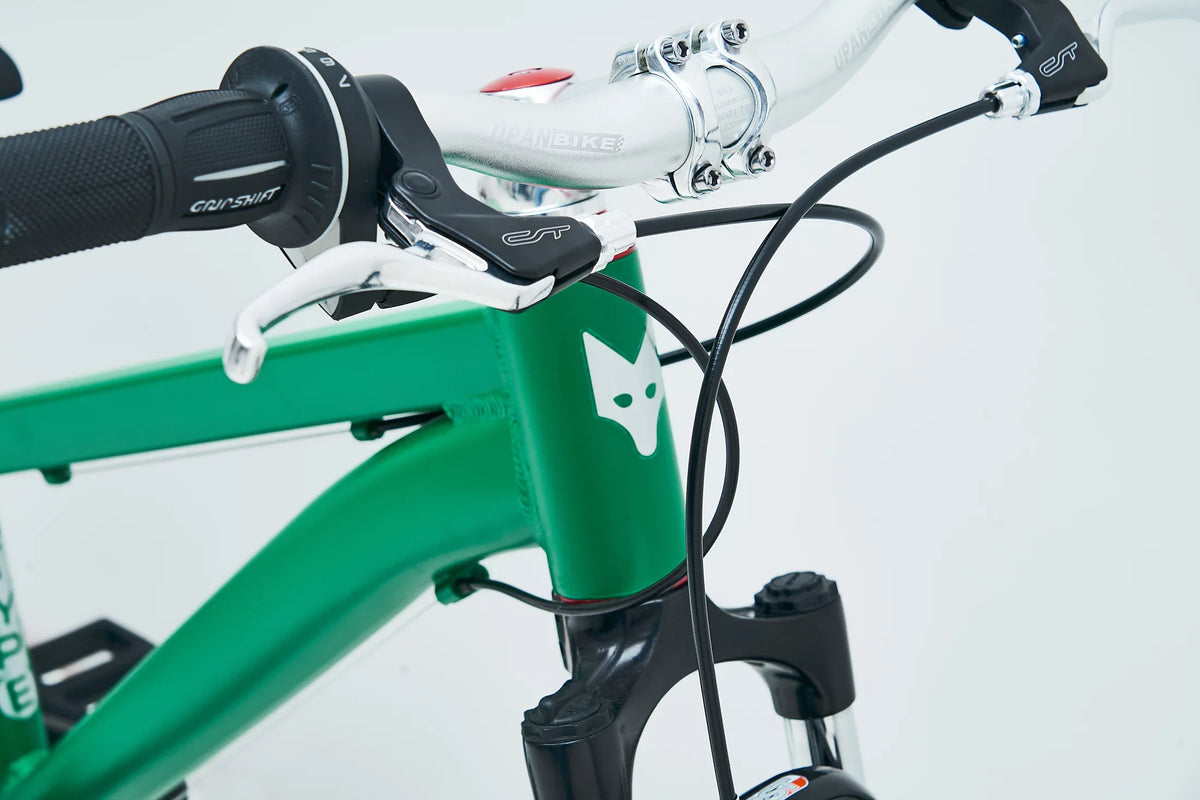 Grüner Rahmen eines TYPE Bike Fahrrads