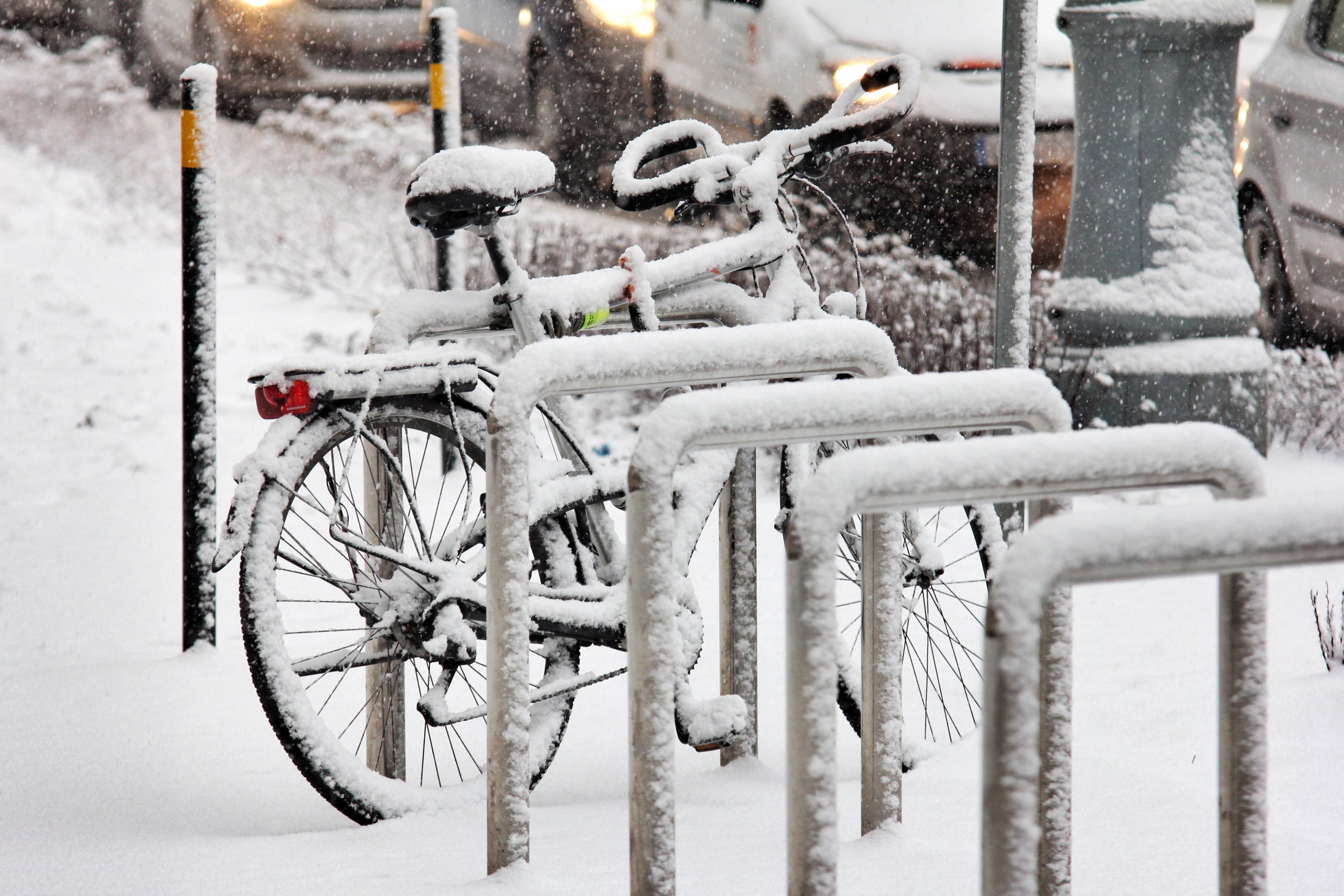 Let it snow!