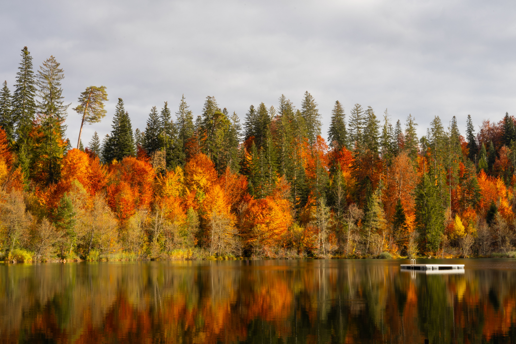 Farbenfroh in den Herbst