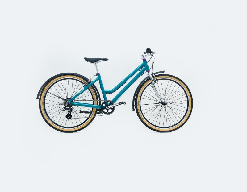 Türkises TYPE Bike Fahrrad