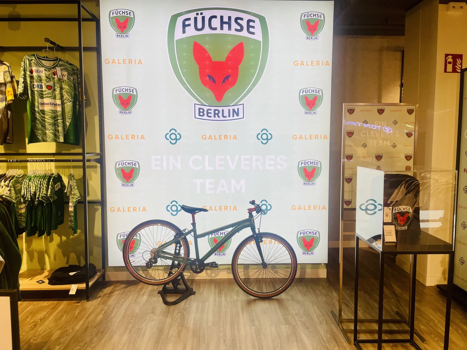 type partner fuechse bento
